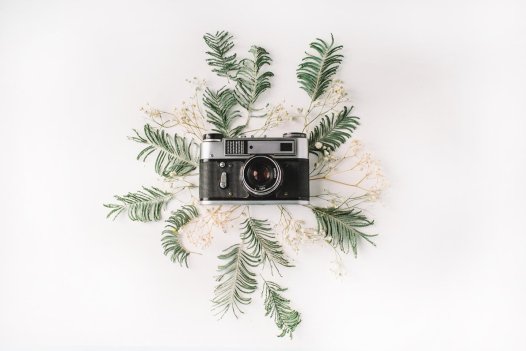 Linux上安装Chrome和ChromeDriver