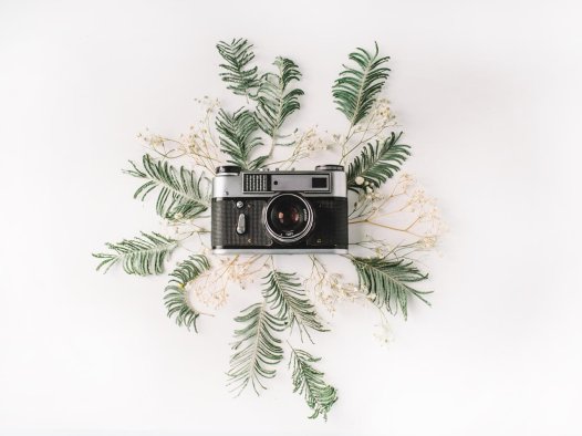 Linux上安装Chrome和ChromeDriver