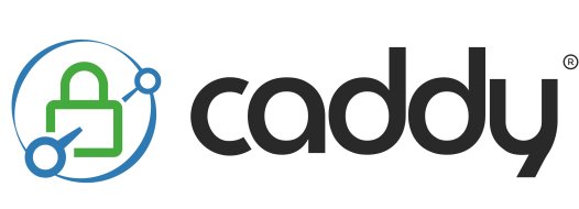 使用Caddy自动部署SSL证书